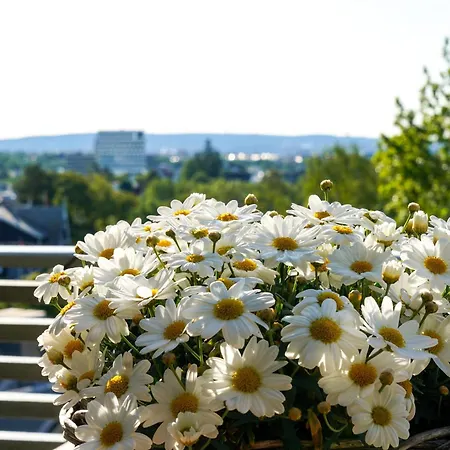 Treetop Feeling, 190 Sqm - Panoramic Views *